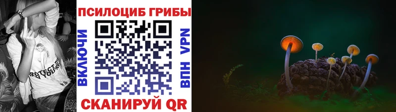 Псилоцибиновые грибы Magic Shrooms  Купить  Каневская 